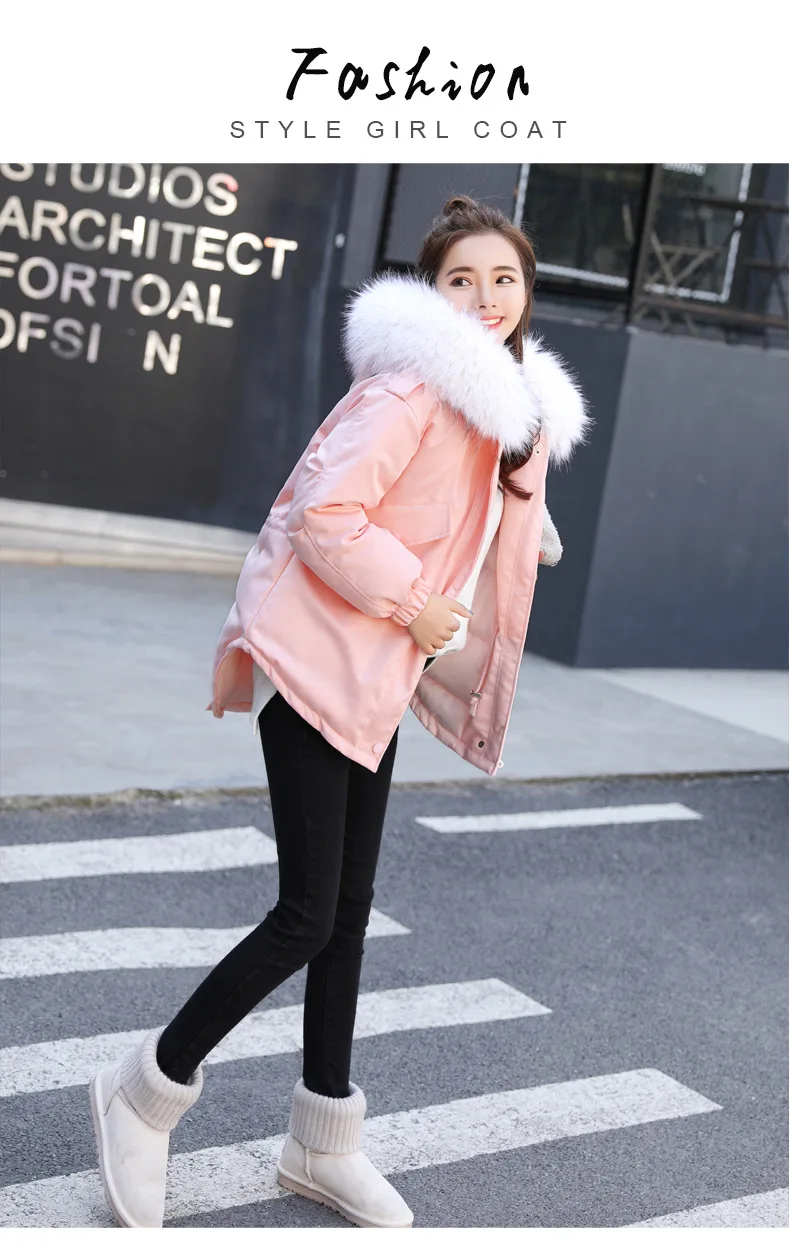 White Parkas Women Hooded Pink Thick Winter Jacket Women Zipper Women Winter Coat Parka With Big Fur Collar Pocket 2018 CH608 (4)
