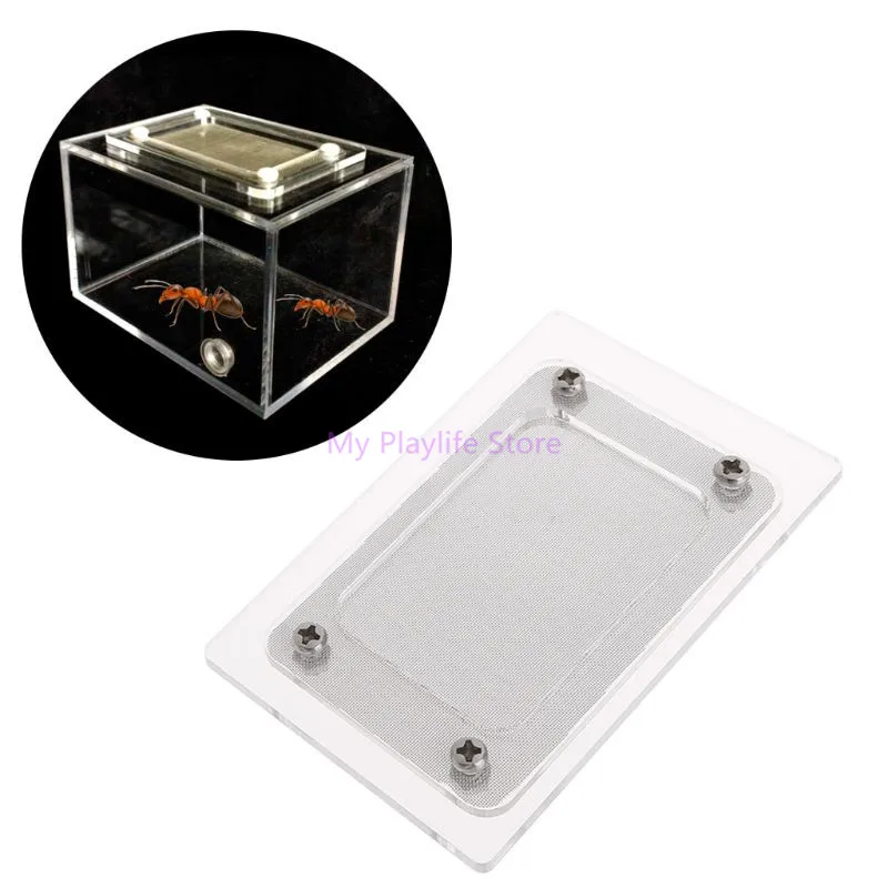 

Ant Farm Cover Acrylic Stainless Steel Square Breathable Cap Anti Escape Prevent Nest Home Cap DIY Pet Habitat Accessories C42