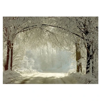 

EDT-7 x 5ft Winter Backdrops Photography Snow Freeze Forest Background for Studio