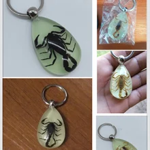 Автомобильный мотоцикл свет брелок для ключей с насекомыми скорпион брелок для Nissan Altima 370Z Xmotion X-Trail Qashqai