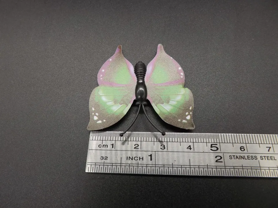 I253-Butterfly (12)