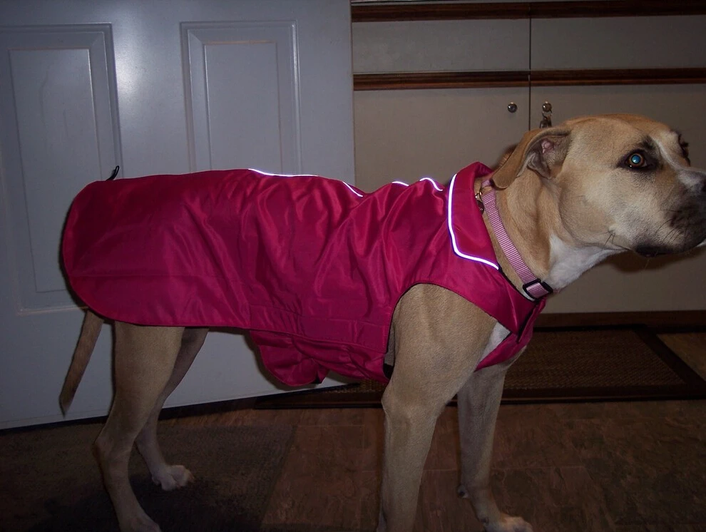 Высокое предложение, теплое пальто для собак крупных пород, флисовая ткань, внутренняя куртка для больших собак, сохраняющая тепло, одежда для домашних животных, XS-XXXXL, подходит для собак разного размера
