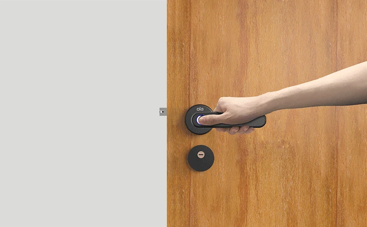 Fingerprint Lock 1