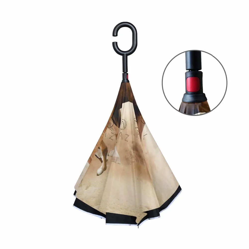 g4078831p183c217s313_2