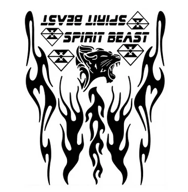 SPIRIT BEAST Светоотражающая 3D наклейка для мотоцикла накладка на топливный, масляный бак Наклейка защитная крышка черного и серебристого цвета универсальная для мотоцикла и т. д - Цвет: 13