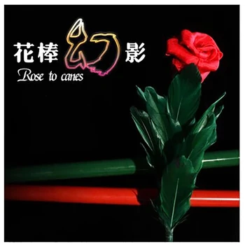 

Rose to cane magic rose and appearing cane magic tricks magic props