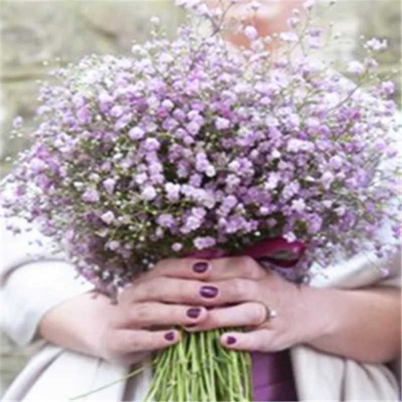 

200 pcs Gypsophila Paniculata Plant Outdoor & Indoor Perennial Garden Flower Ornaments Bonsai for Wedding Decor Easy to Gr