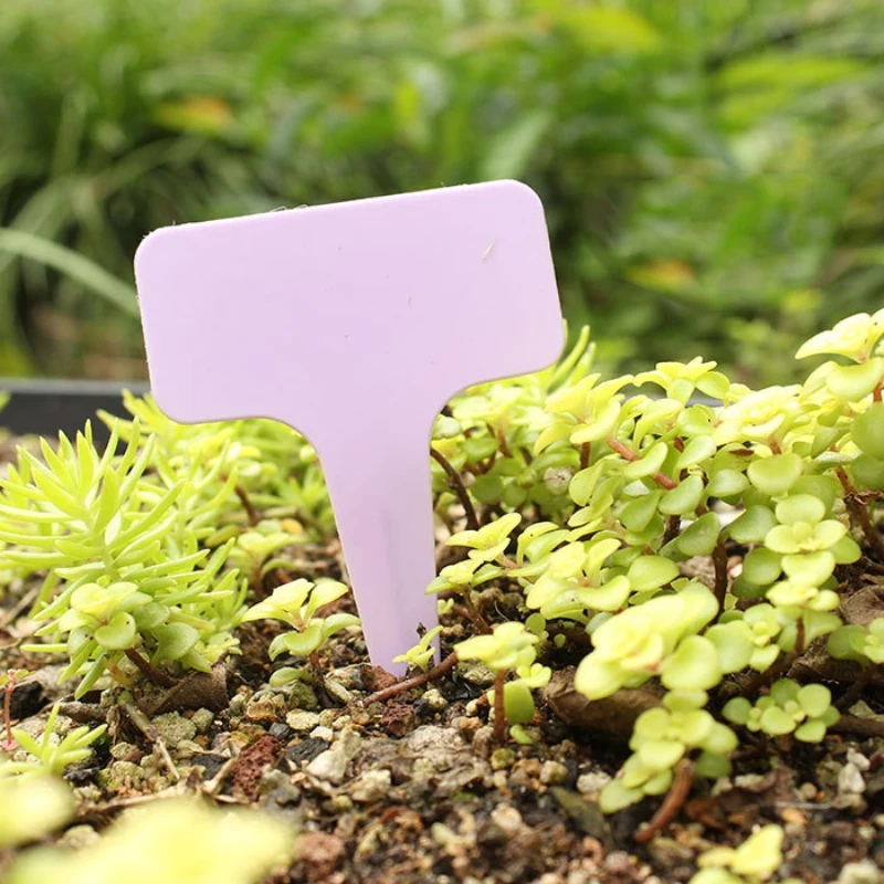 

50Pcs/Lot Pots Planters Nursery Plant Labels Garden Decoration Tools Plastic Plant Labels T-type Garden Tags