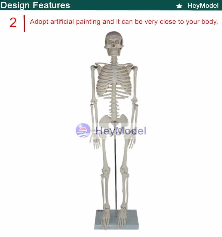 2. _