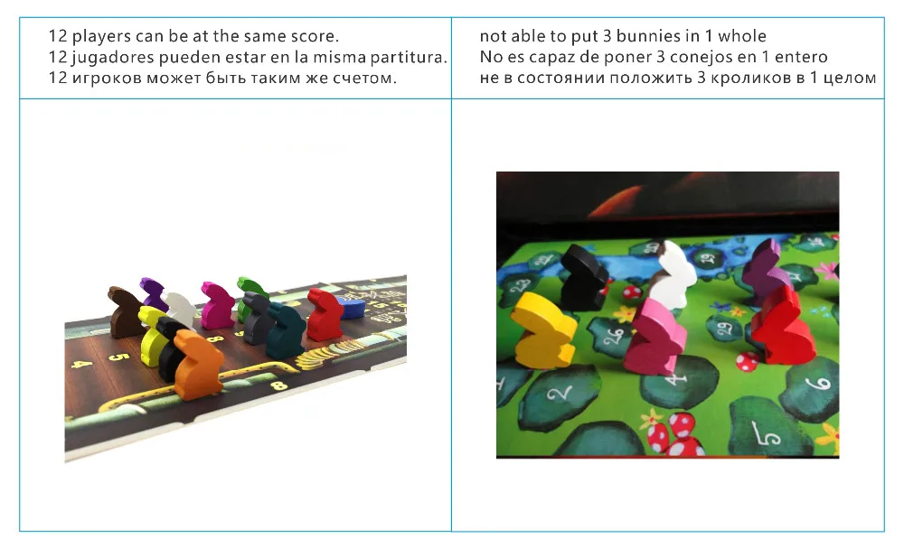 dixit 6