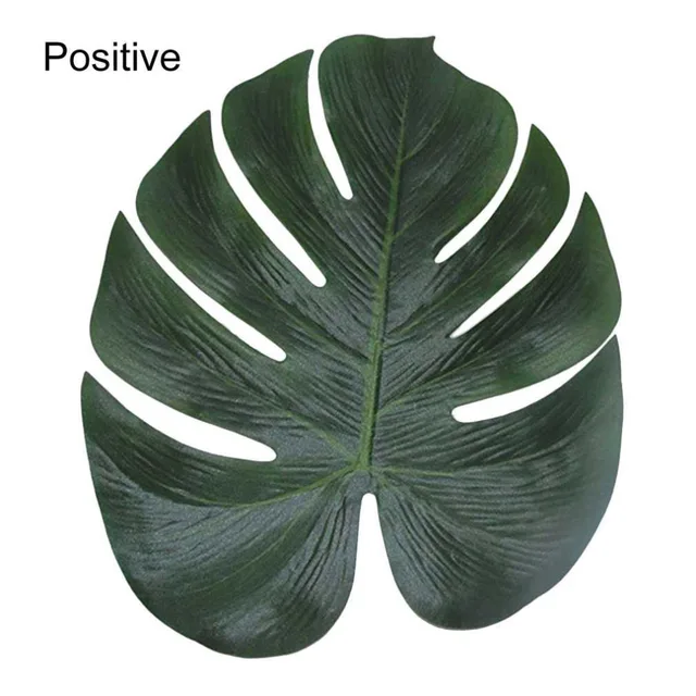 800+ Gambar Daun Tropis HD Terbaru 800+ Gambar Daun Tropis HD Terbaru