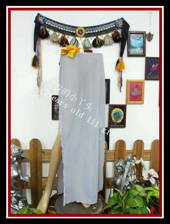

Transparent Thin Skirt With Open Slit Belly Dance CX62