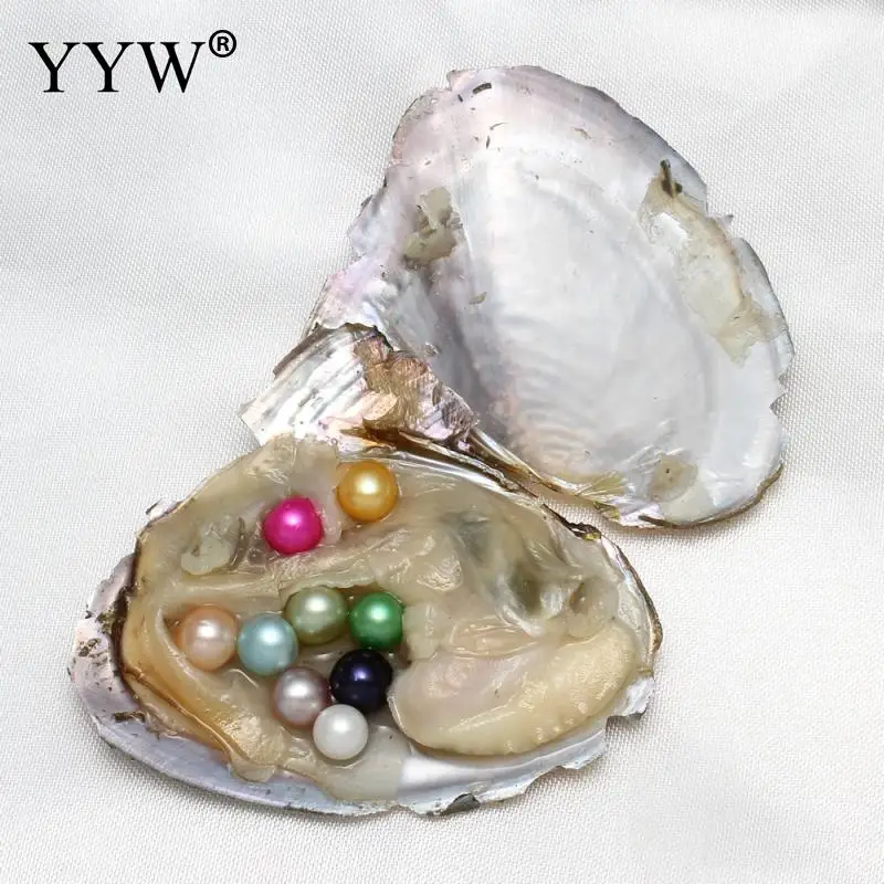 7-8mm Blízko kulaté Akoya ústřice perly jednoduché kuželky perly jednotlivě balené Narozeniny, Svatební dárek 14 barev