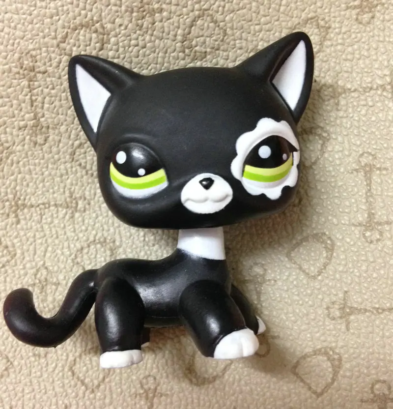 

LITTLEST PET Animals Collection Figure For Girl Children Black Short Hair Cat DWA261 #2249