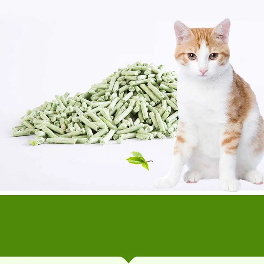 cats (9)