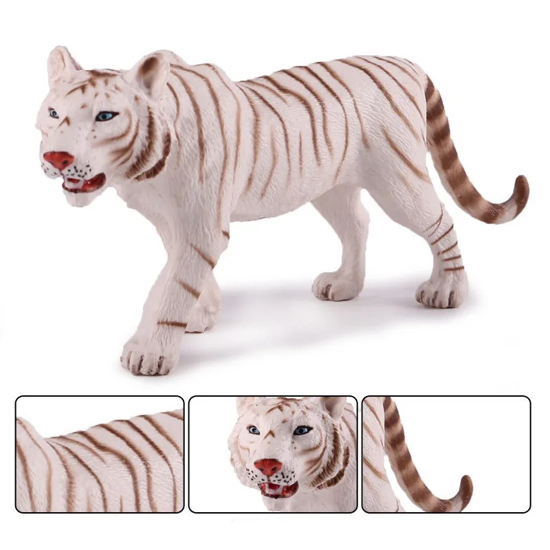 Bengal White Tiger (1)