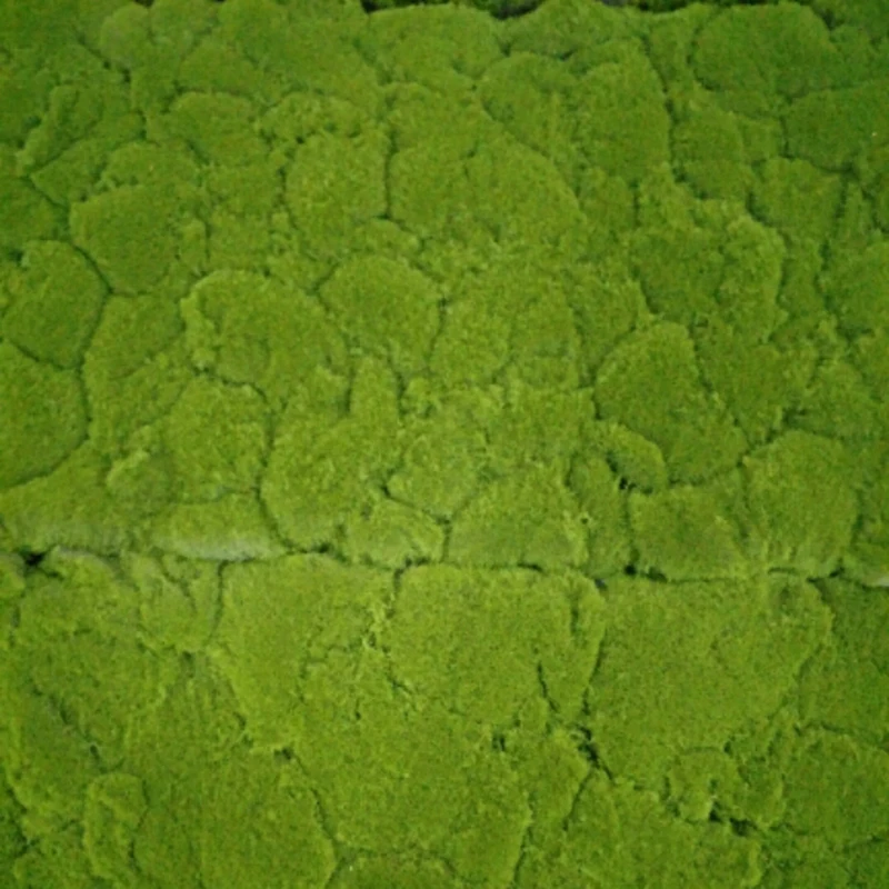 1 м* 0,5 м зеленый Растительный Настенный Коврик для травы, имитация Моха, газон, магазин, сцена, окно, дисплей, Искусственный мох, украшение для стены газона