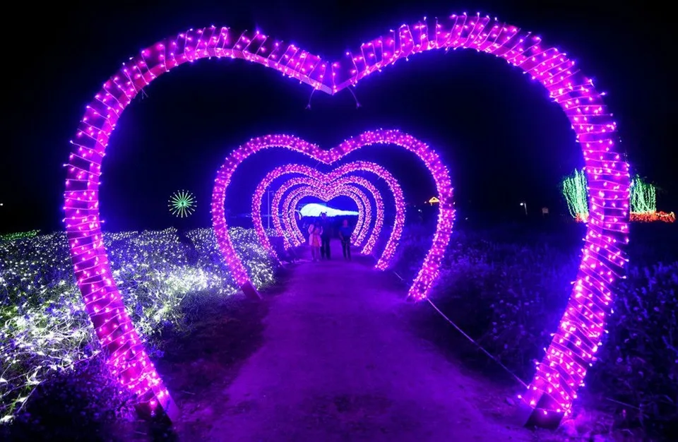 Lighting Strings wedding christmas lights led strings 10m AC220V 110V Led Strip Light Garden Garland  (11)