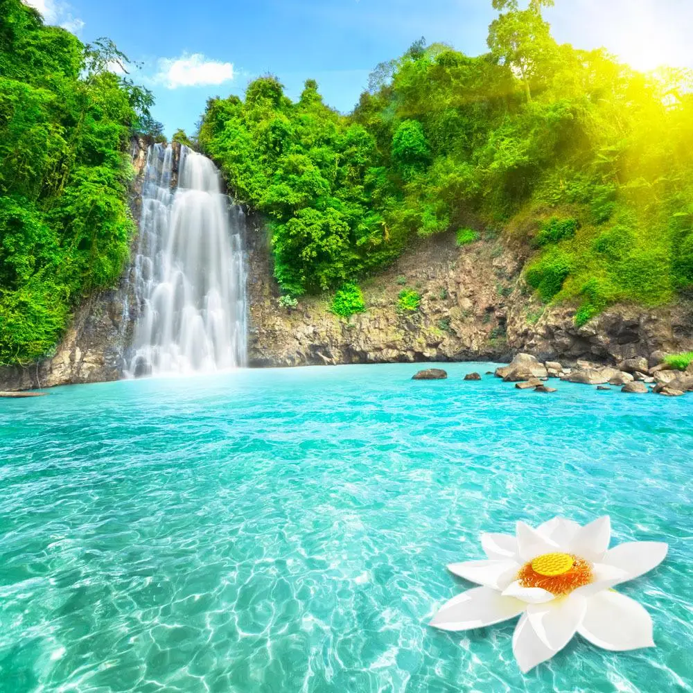 

SHENGYONGBAO 10x10ft Vinyl Custom Waterfall Photography Backdrops Prop Photo Studio Background TPB-3006