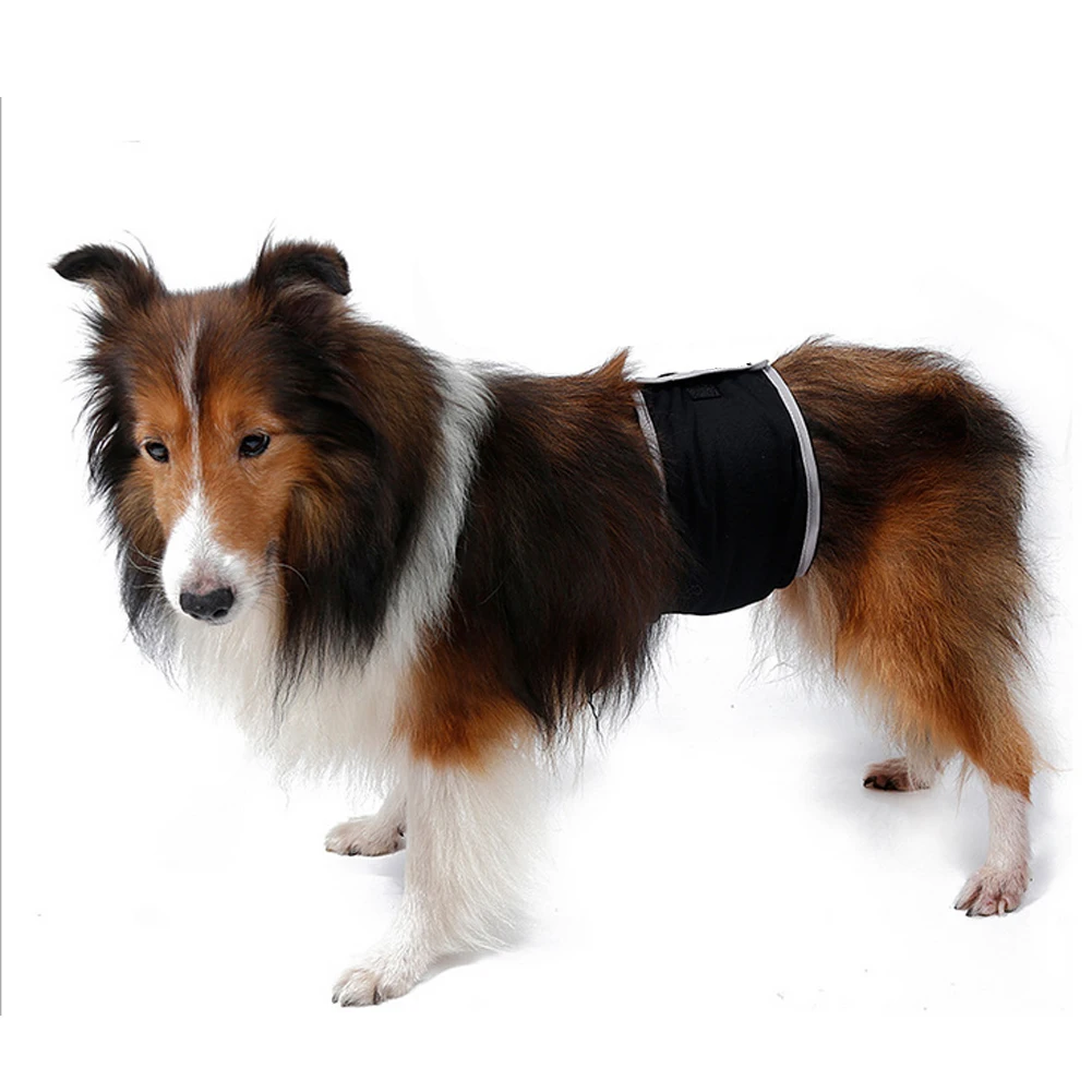 Kupuj online wyprzedażowe dog training pants od Chińskich dog training