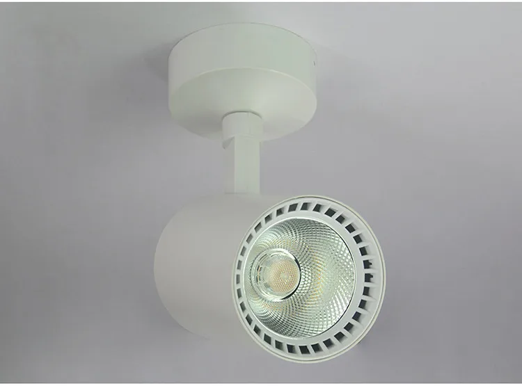 Новая модель светодиодный затемнения светильники удара 30 Вт светодиодный пятно света Светодиодный украшения потолочный светильник AC 110 В