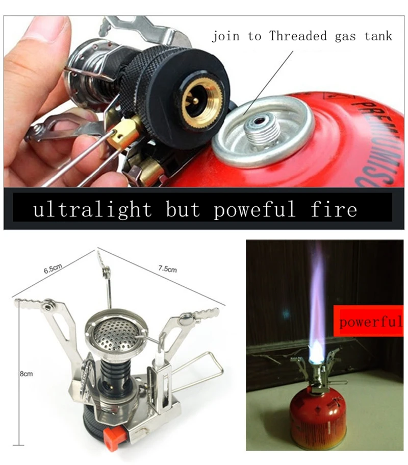 4290222760_1545843493