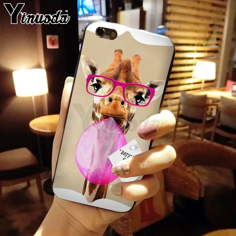 cow alpaca zebra giraffe