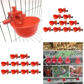 

20Pcs Chicken drinking Cups Quail Waterer Bowls Bird Automatic Feeder Drinking Cups Animal husbandry tools Feeder incubator