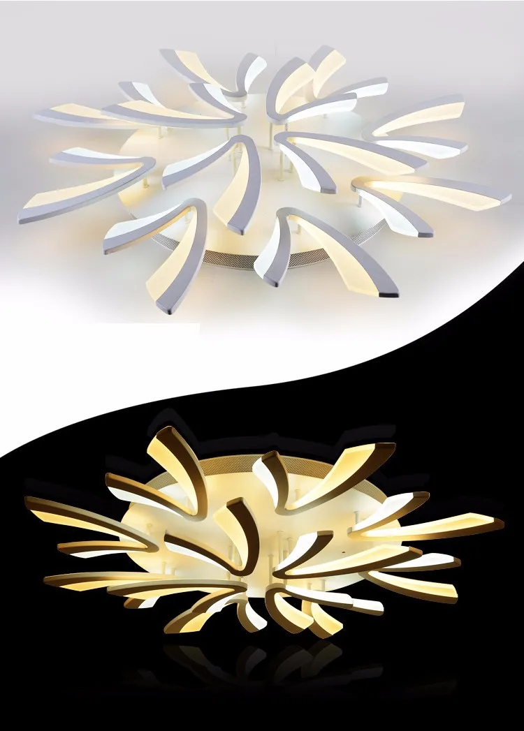 3506457904_1019503663