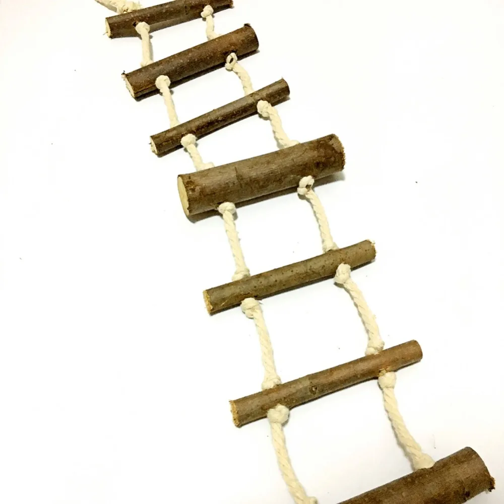NT0609 (4)