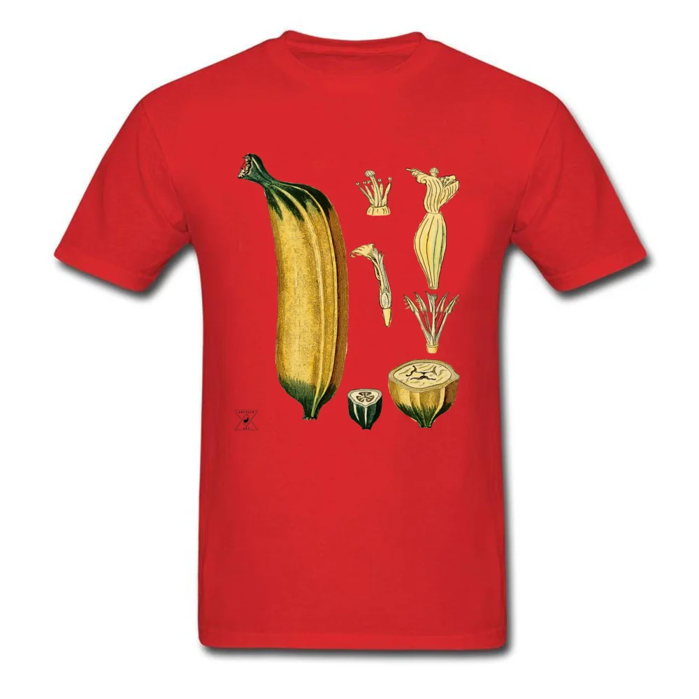 Cotton Fabric Men Short Sleeve Banana Plant Botanical Tropical Fruit T-shirts Slim Fit Tees 2018 Discount Normal O-Neck T Shirts Banana Plant Botanical Tropical Fruit red