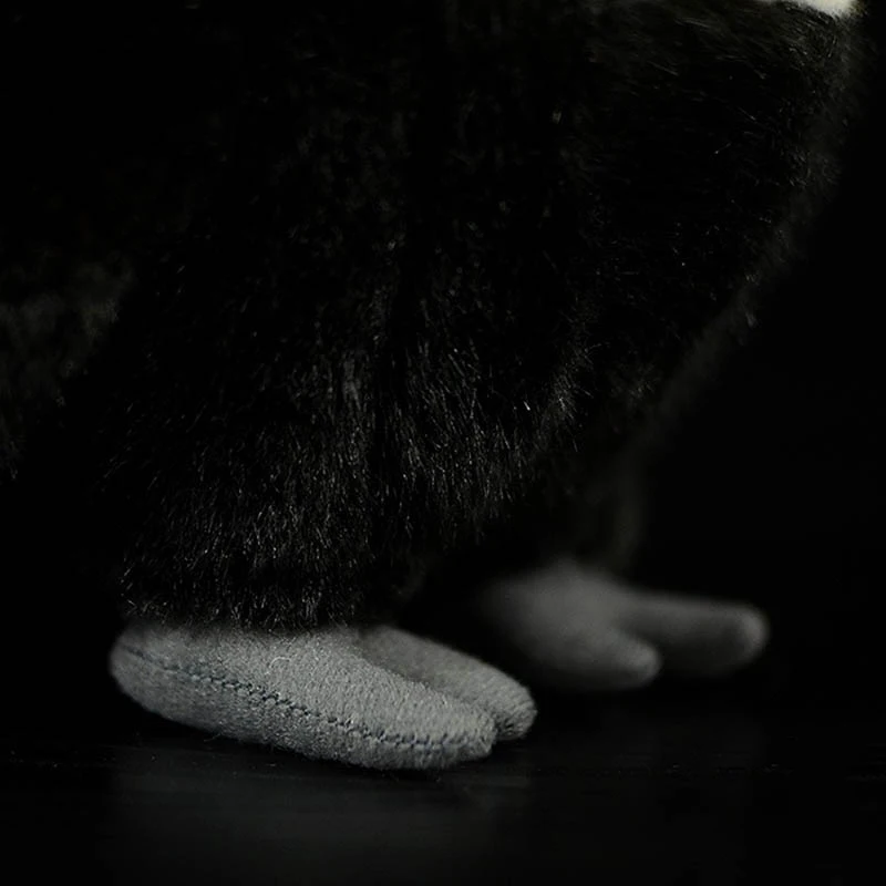 TB2GXV7oSFjpuFjSspbXXXagVXa_!!22080261