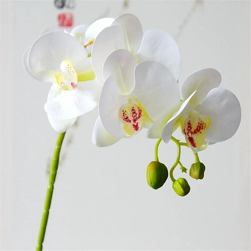 QQ20181205233128