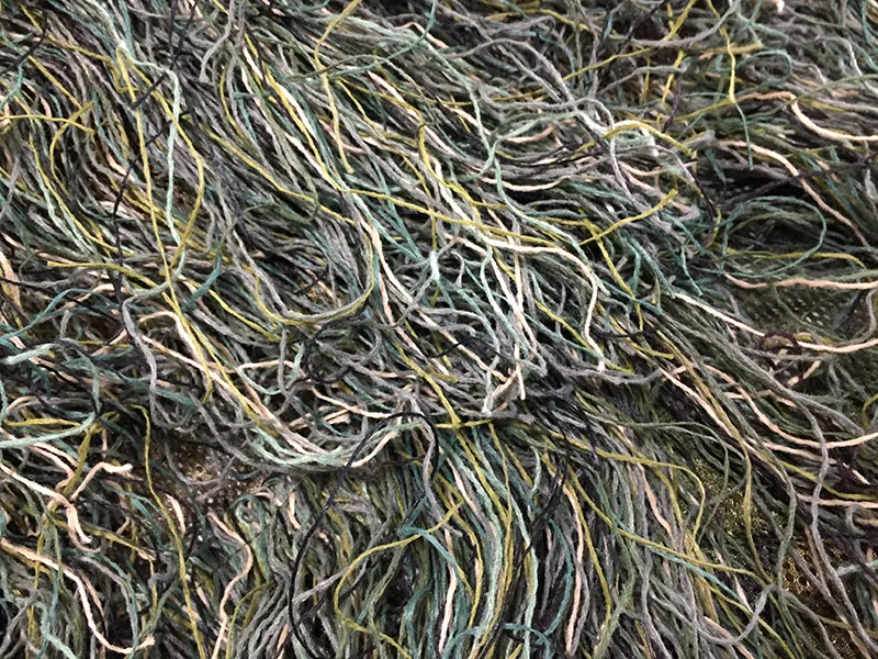 CS-Jungle-PF-015