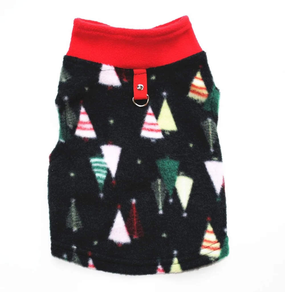 9586839925_361259826