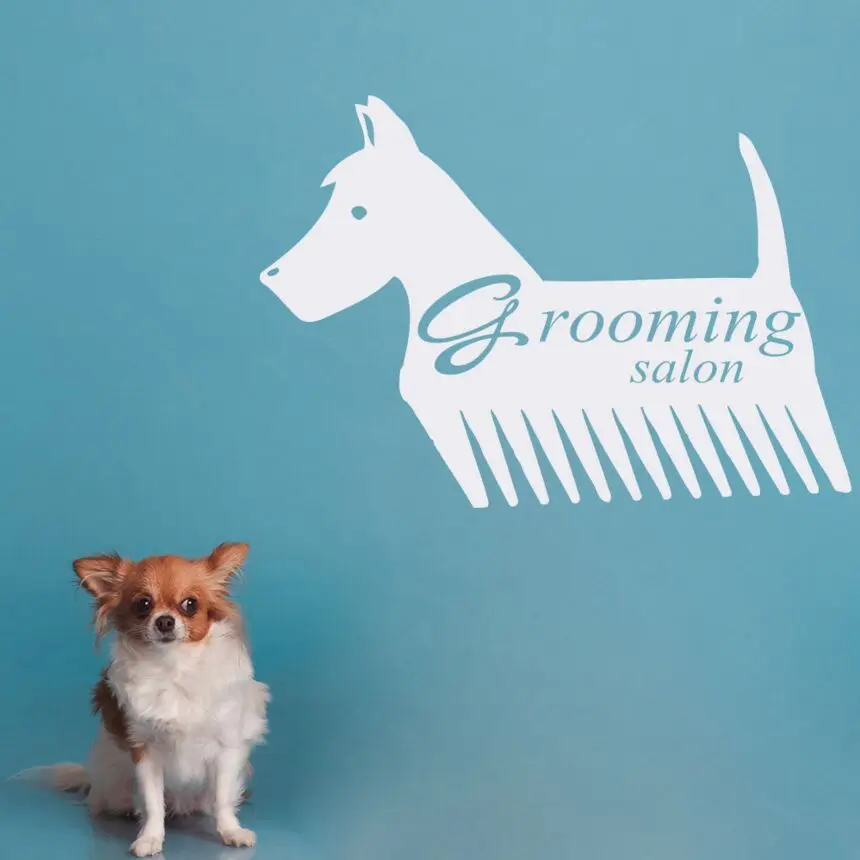 Pet Shop Decor Grooming Salon Logo Wall Window Sticker Pets Beauty