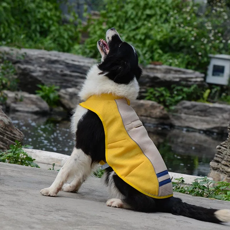 

Hot Sale Summer Dog Cooling Vest Breathable Cool Coat Sunscreen Pet Jacket for Small Medium Large Dogs