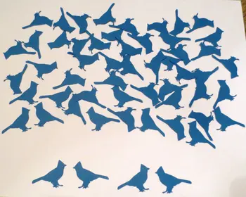 

Blue Jay Bird Confetti wedding birthday bridal baby shower party Table decor scrapbooking favors
