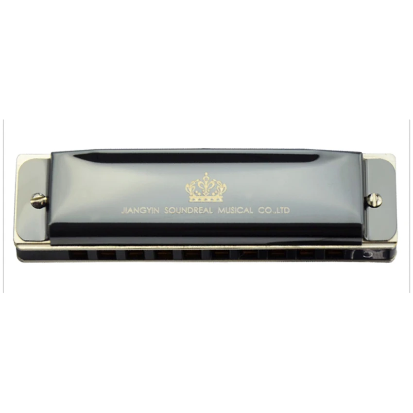Instrumento de Vento Presentes para Crianças Gaita Diatônica Buracos Harpa Blues Preto Profissional Boca Órgão c Chave Adultos Jdr 10 - Image 5
