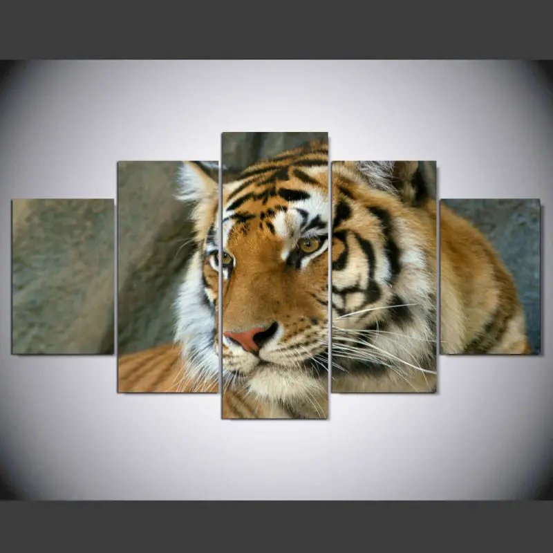 DAFENJINGMO ARTS 5 panel Modern A tiger hd Art print canvas art wall