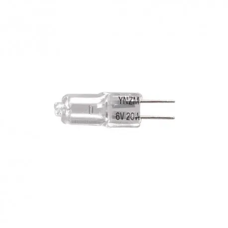 BH-6V20W-microscope