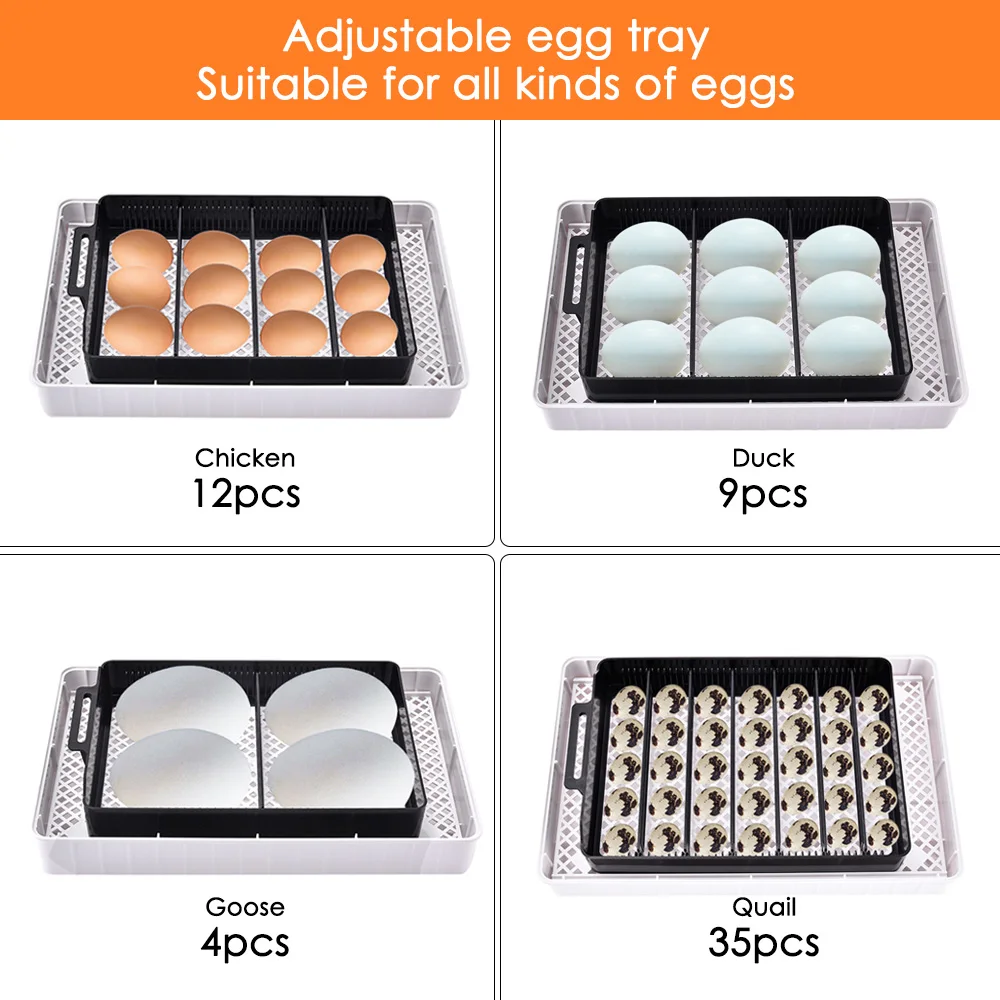 12 Eggs Automatic Digital Eggs Incubator Hatcher Home Mini Hatching Incubator Chicken Duck Egg Incubator Hatching Machine 12 Eggs Automatic Digital Eggs Incubator Hatcher Home Mini Hatching Incubator Chicken Duck Egg Incubator Hatching Machine