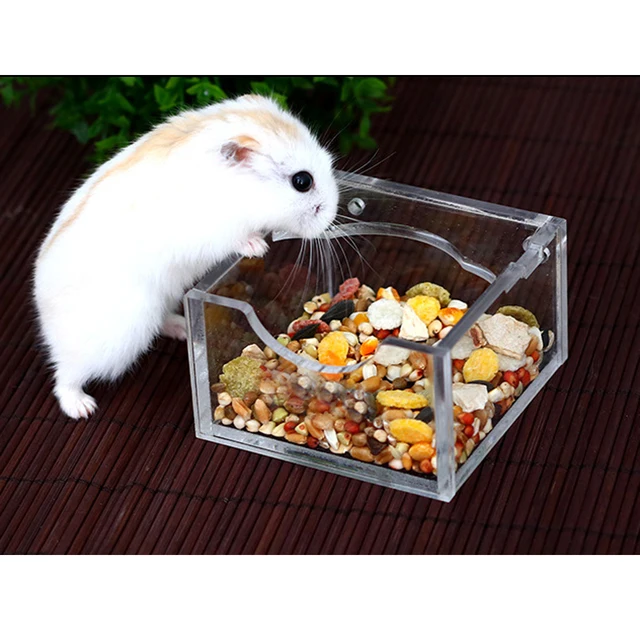 Acrylic Small Pet Hamster Food Water Bowl Feeder Clear Feeding Dishin