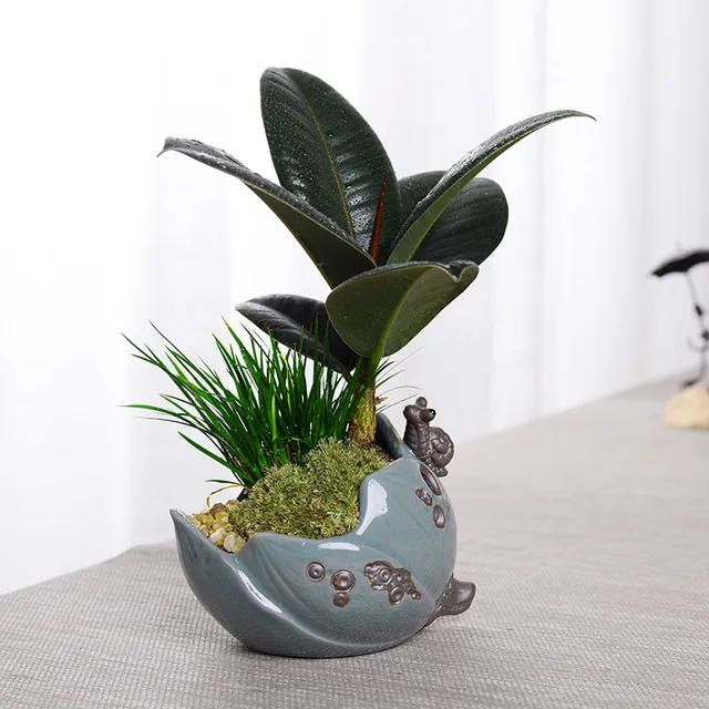 Buy Creative Zen Style Plant Bonsai Plants Pots for