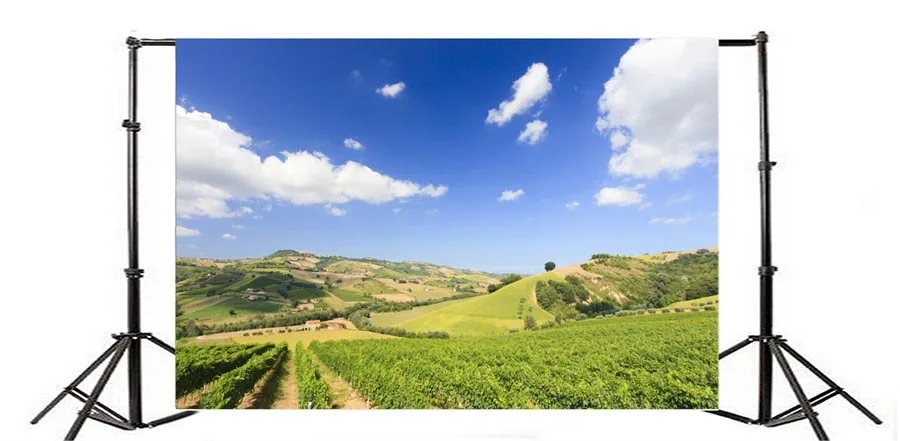 Laeacco Sunny Rural Farm Fields Ландшафтный фон для фотосъемки Виниловый на заказ Фотофон