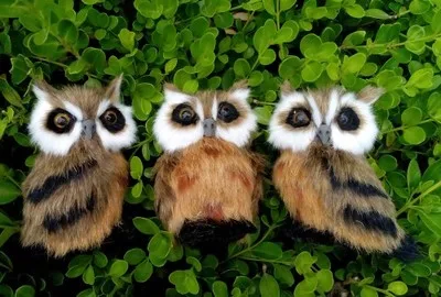 

Искусственная мини-коричневая сова, прямоугольная сова, Игрушечная модель из смолы и меха 9x8 см, один лот/3 штуки, реквизит, украшение для дома, подарок на Рождество 0867