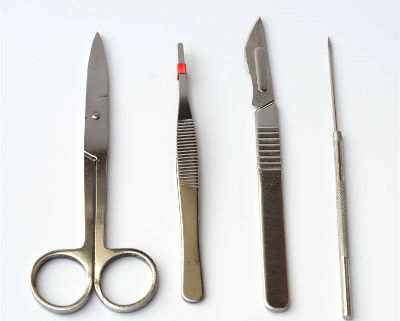 

10 Bags Educational Student Biological Anatomy Appliance Lab Laboratory Anatomical Tools Needle Tweezers Lancet Small Scissors