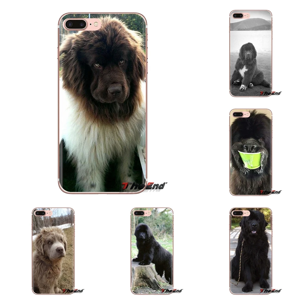 

Newfoundland dog Gentle Giant For iPod Touch Apple iPhone 4 4S 5 5S SE 5C 6 6S 7 8 X XR XS Plus MAX Transparent Soft Shell Cases