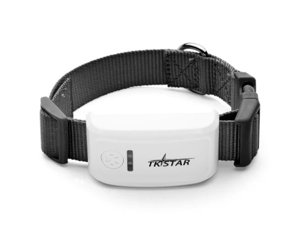 TK909 Pet tracker black collar TKSTAR
