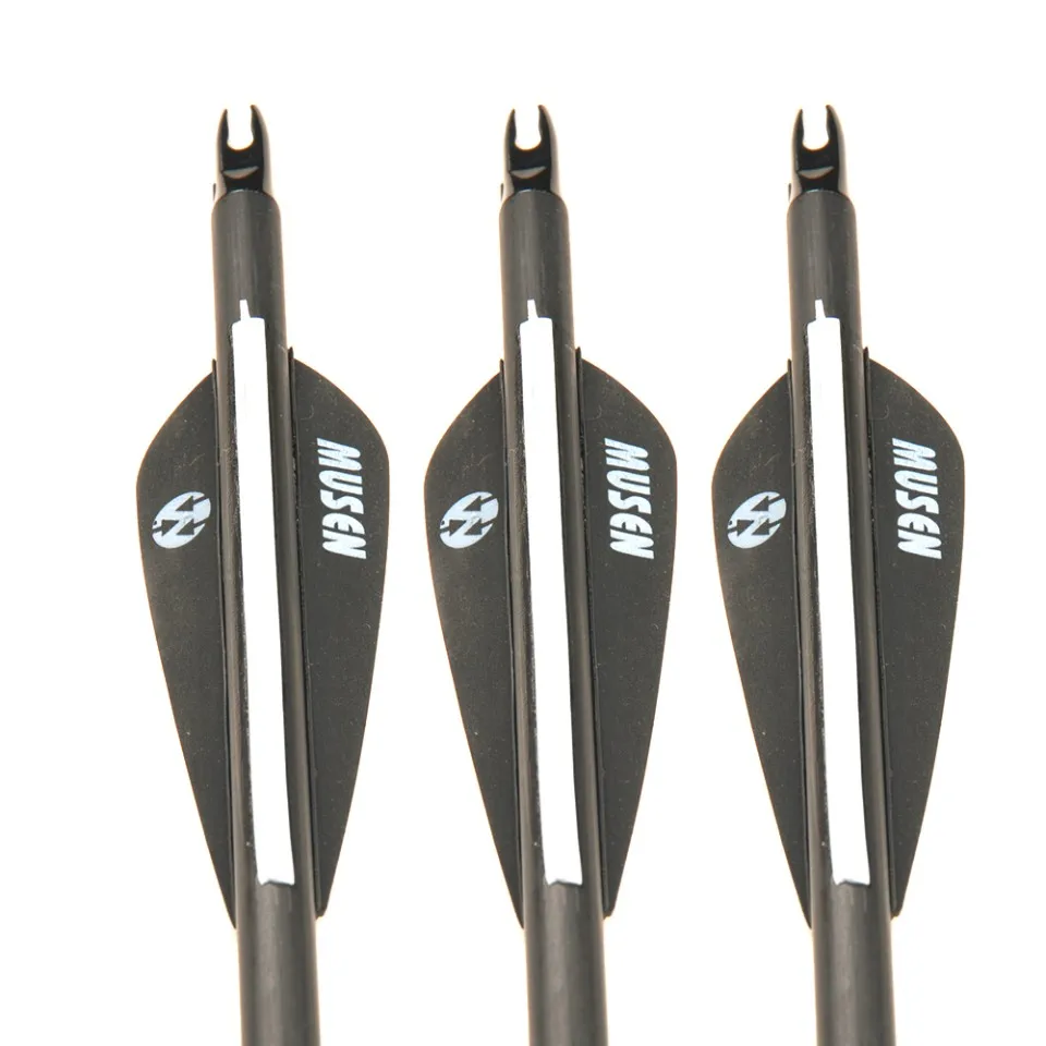 HTB1MavXRFXXXXc4apXXq6xXFXXXo